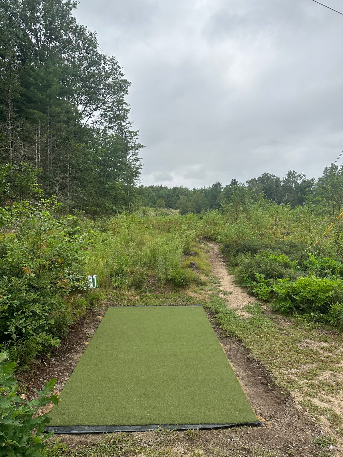 Hole 13 tee
