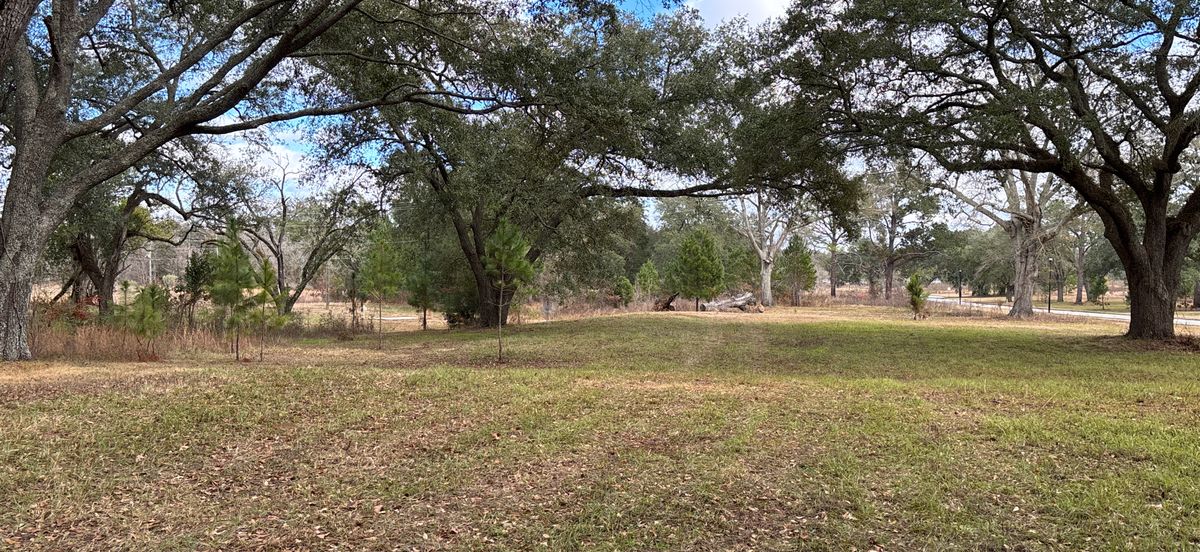Hole 12 Red
