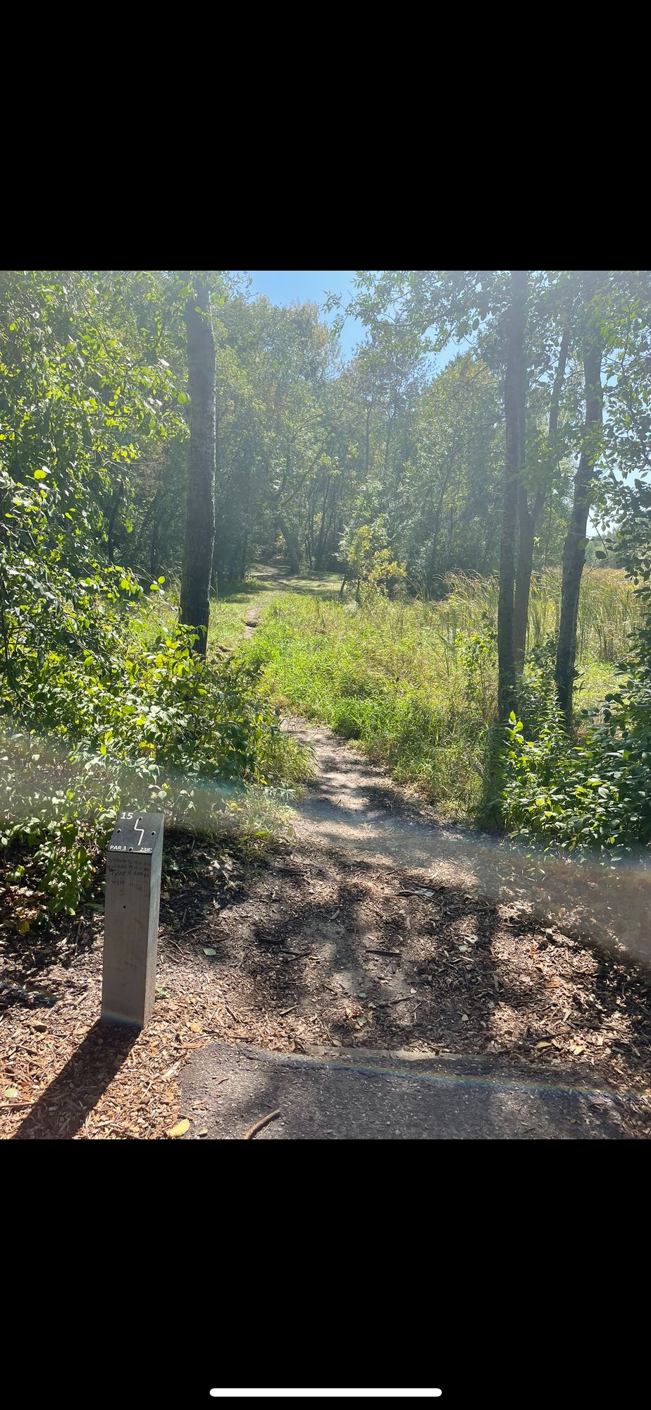 Hole 15 teepad