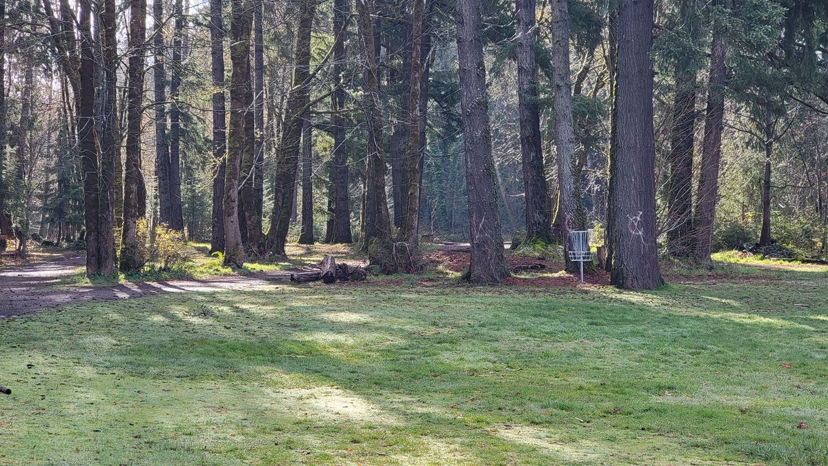 Basket of 2 from the bottom of the hill. Tee of is up on the hill behind.