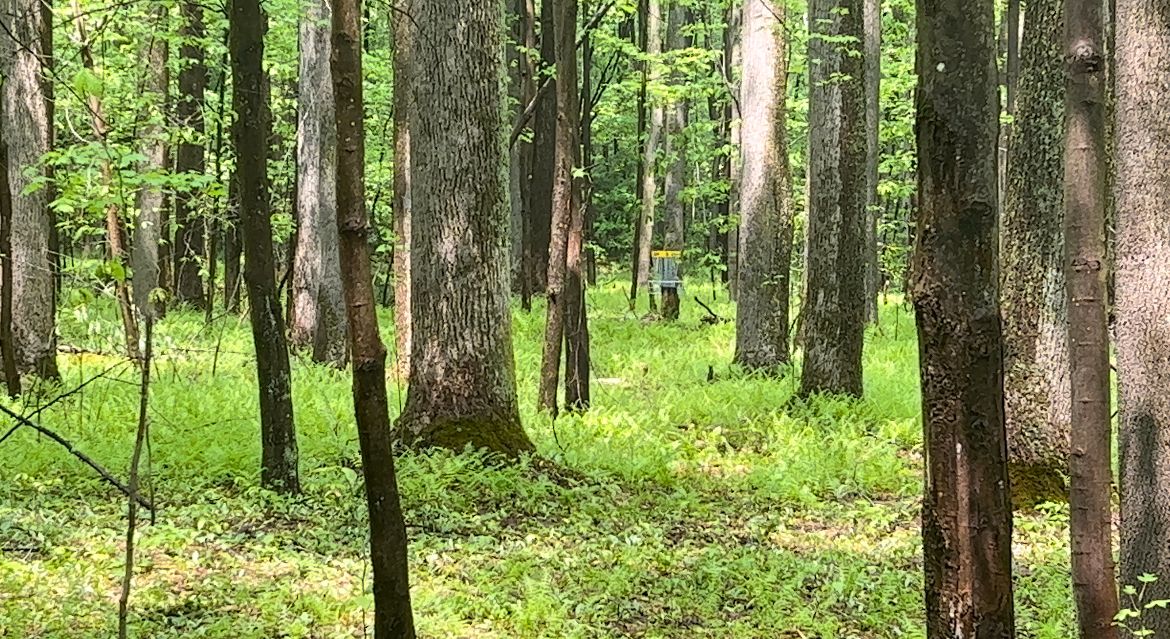 Hole 5
