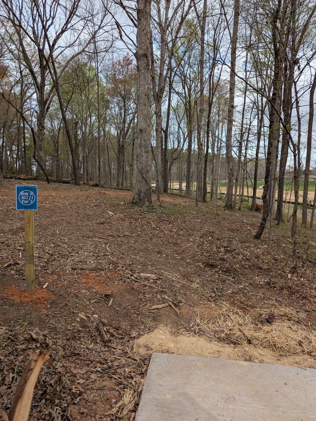 Hole 16