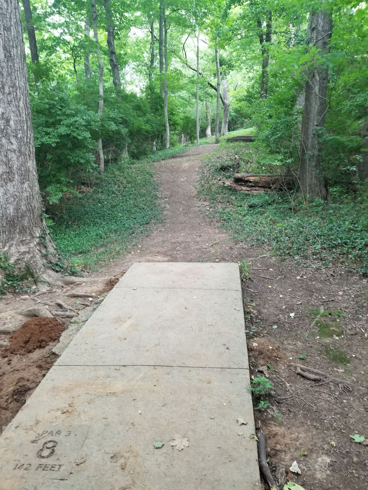 Hole 8