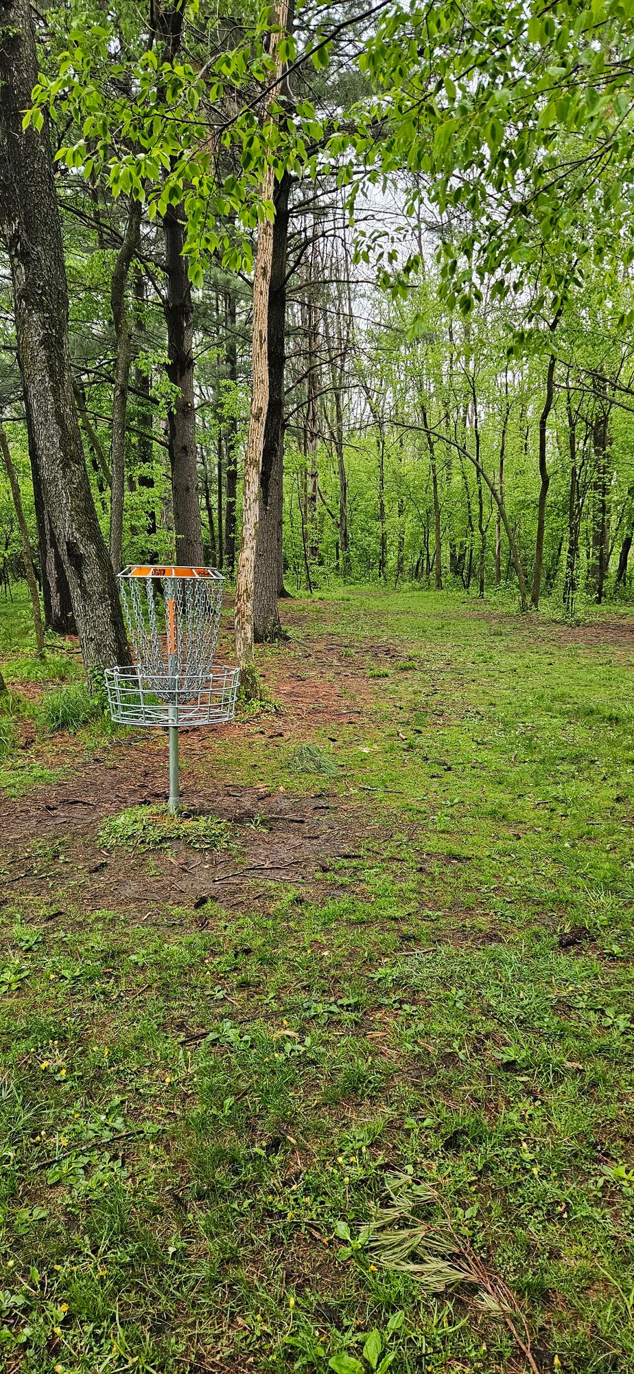 Hole 4, looking back towards the teepad
