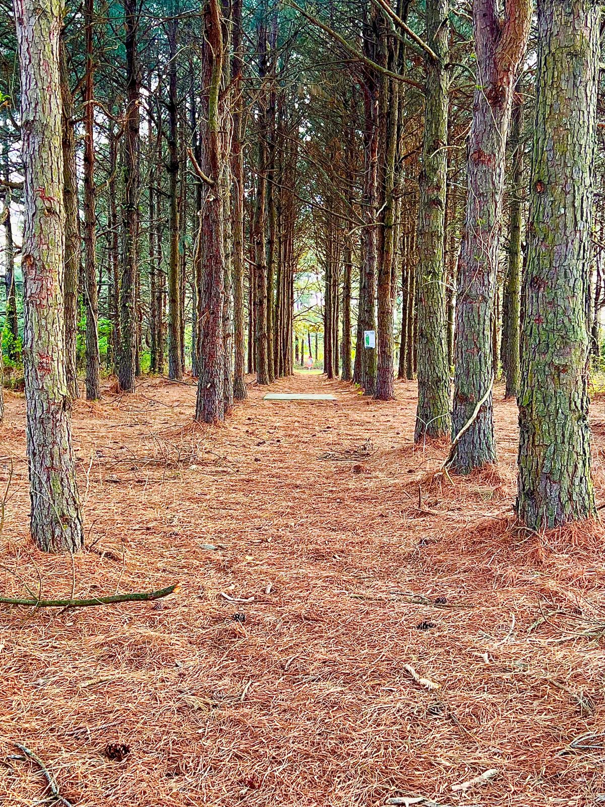 Hole 10