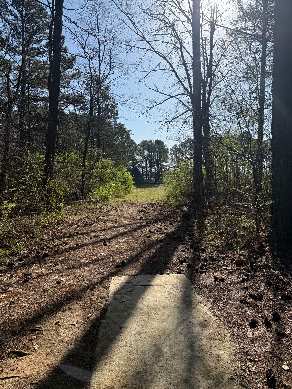 Hole 6 Tee box view