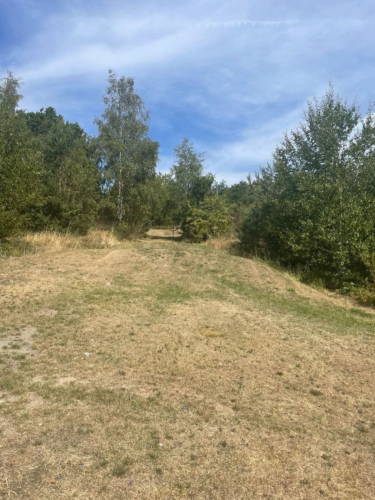 Hole 4 from Tee