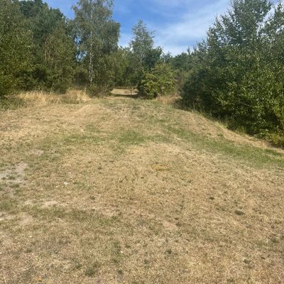 Hole 4 from Tee