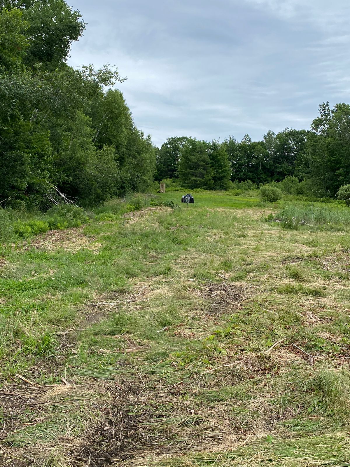 Hole 13