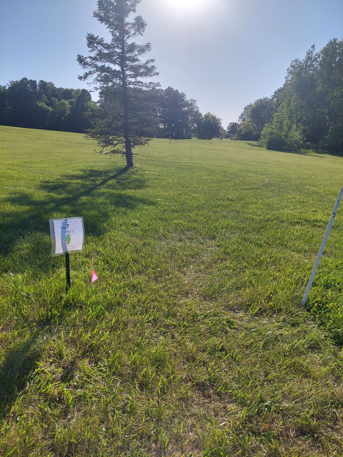 Hole 7 Tee pad