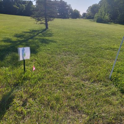 Hole 7 Tee pad