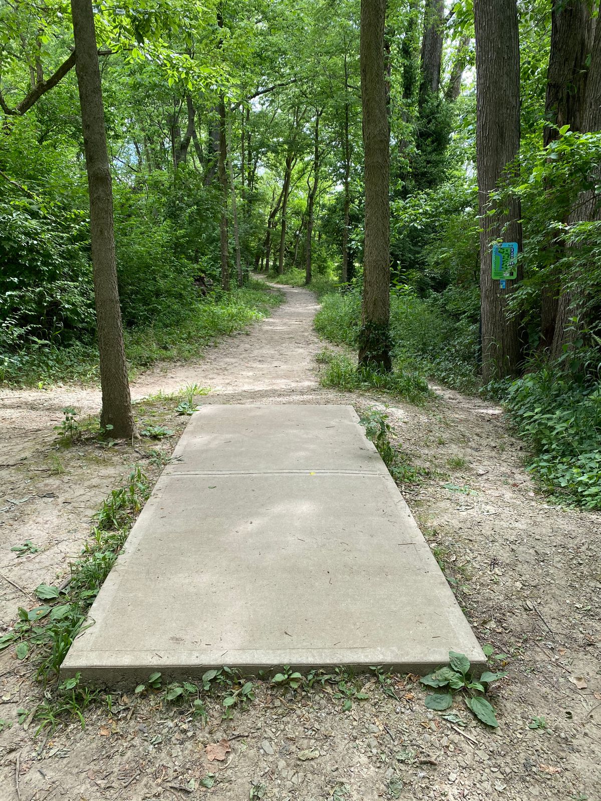 Hole 17 (Tee Box)