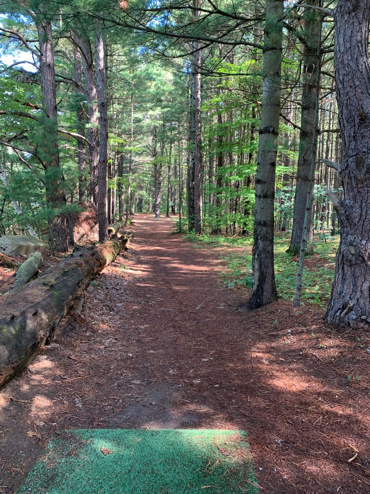 Hole 5