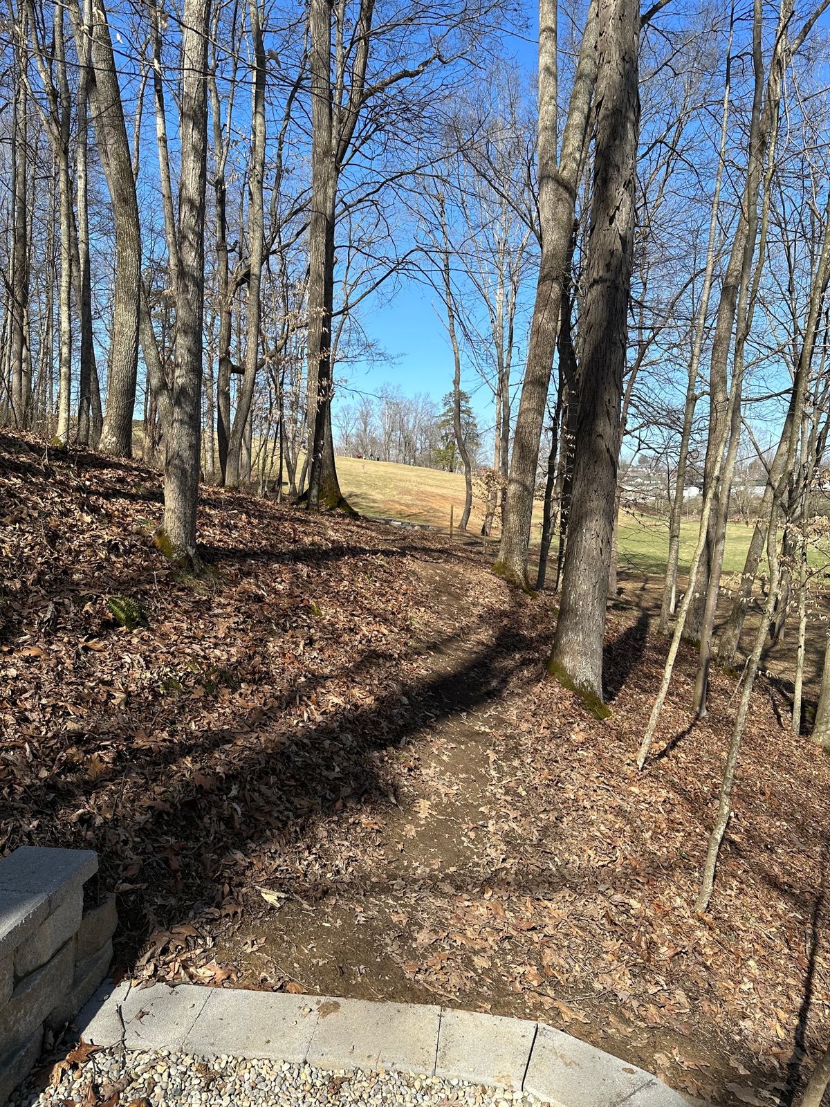 Hole 7 (White)