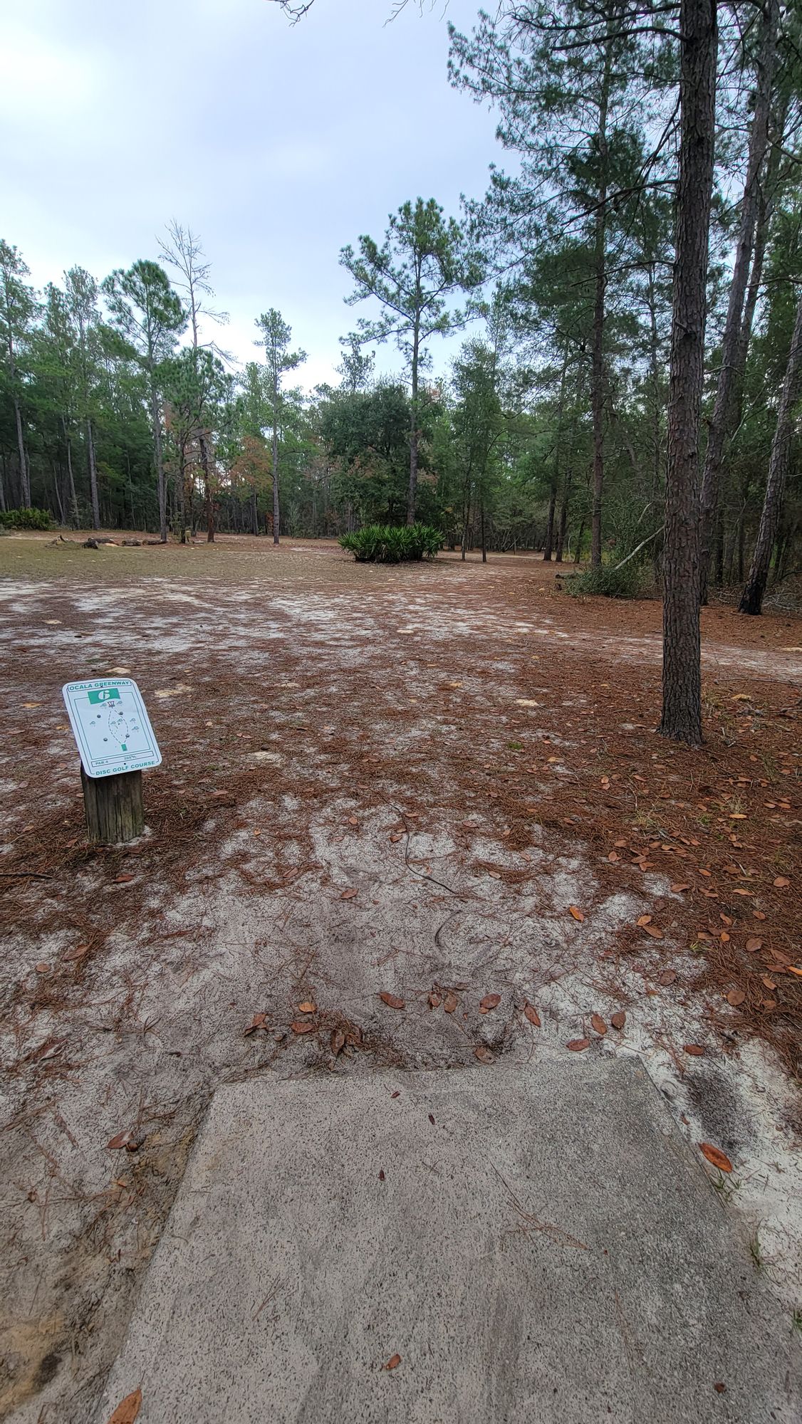 #6 Tee (only pad)