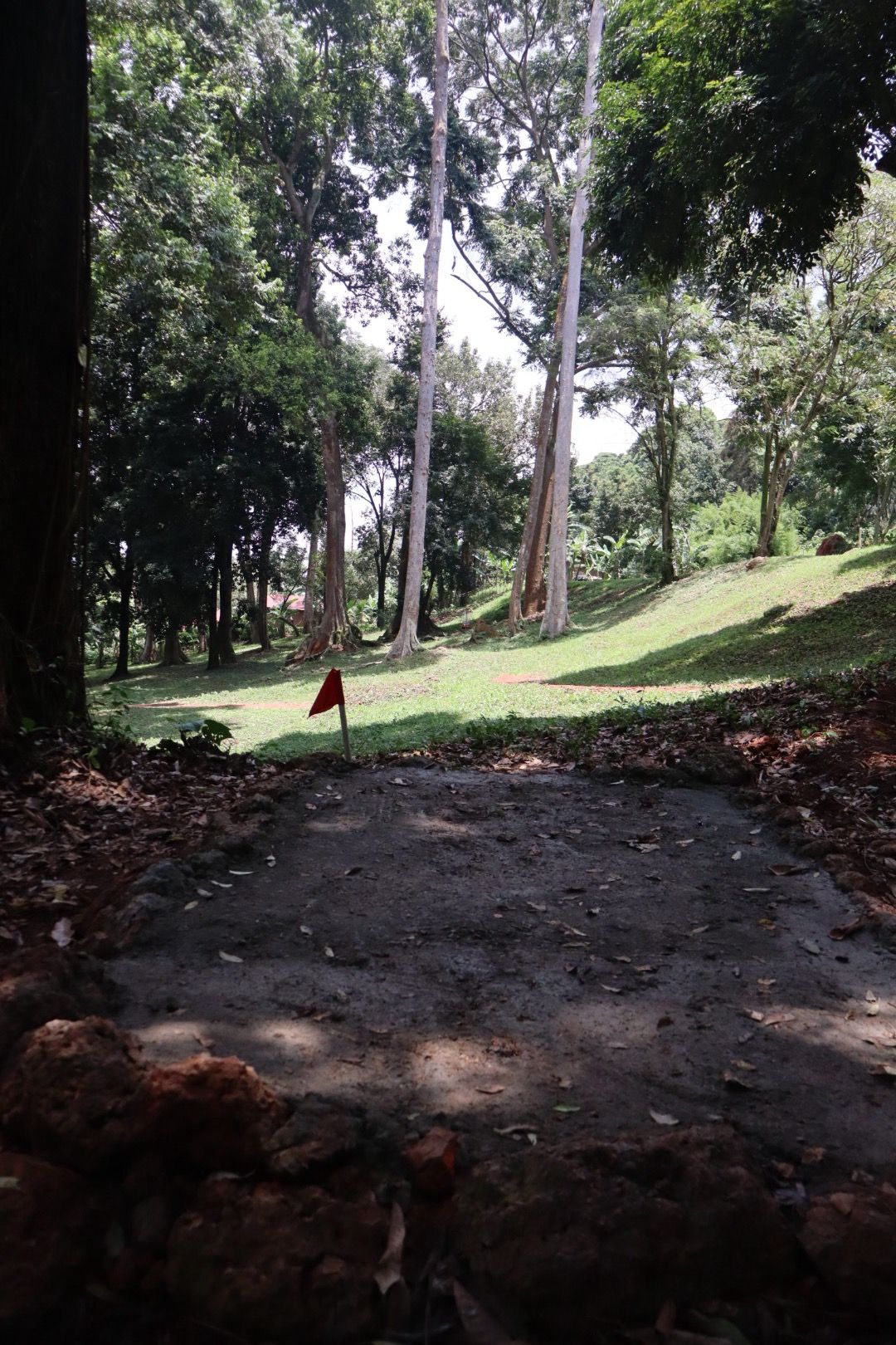 Hole 4 short tee