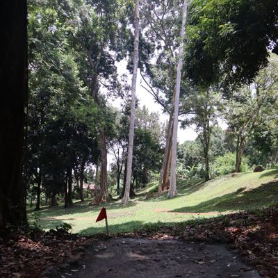 Hole 4 short tee