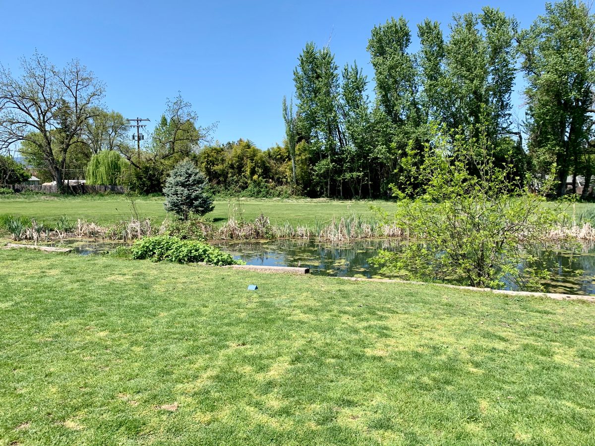 Hole 2 Tee pad (looking to the right of it)