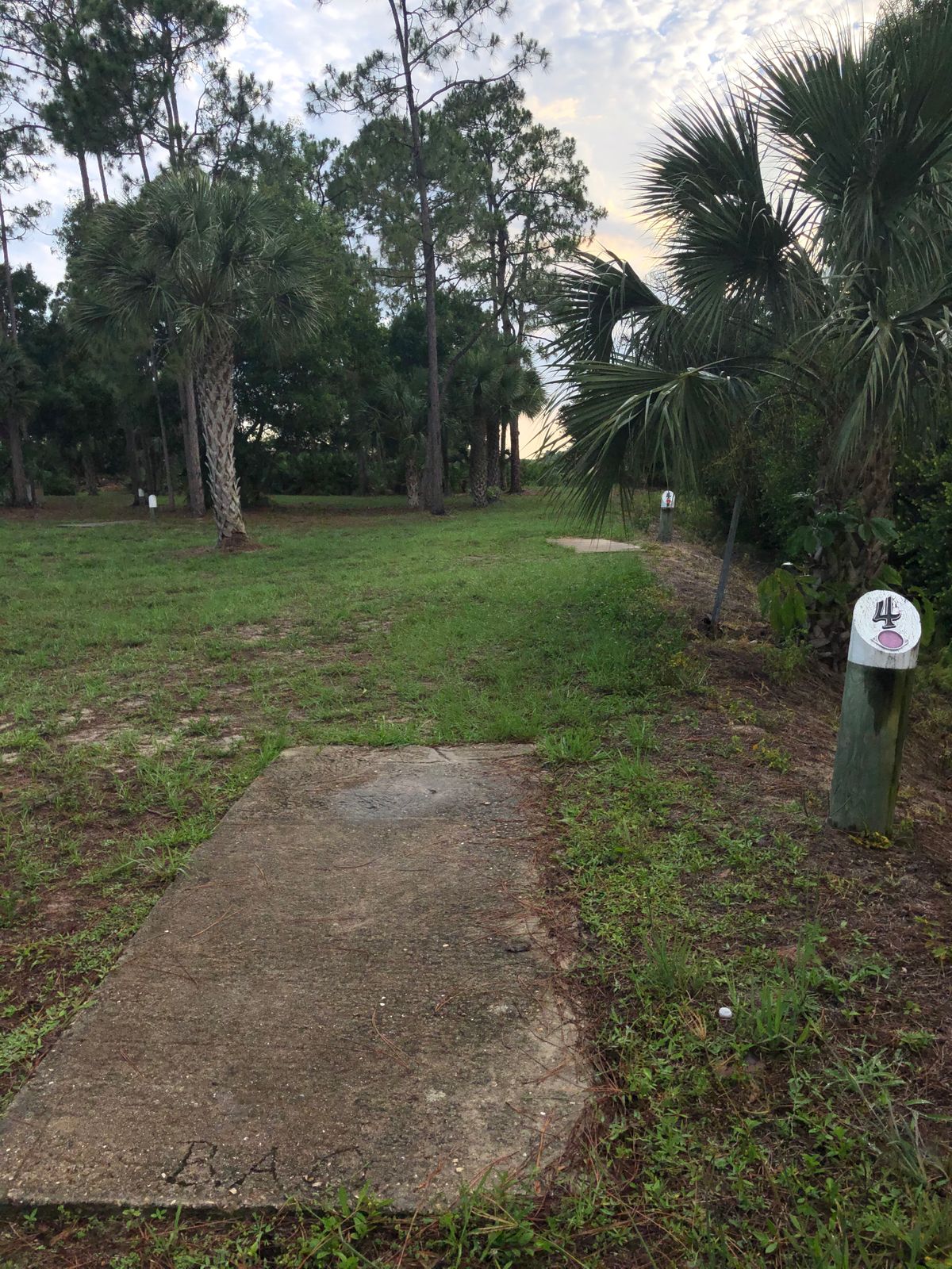 Hole 4 - Blue