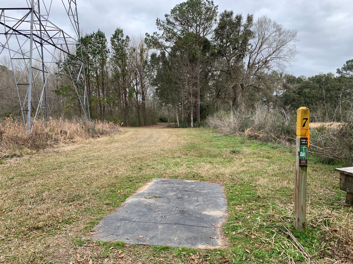 Hole 7 Fairway