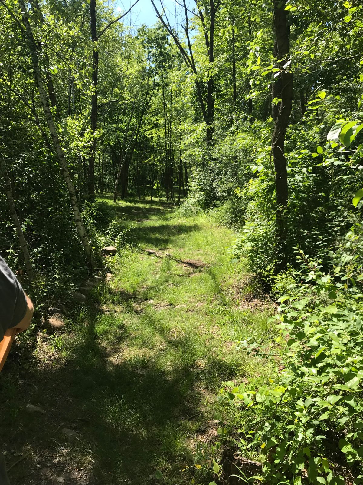 Very overgrown , not maintained