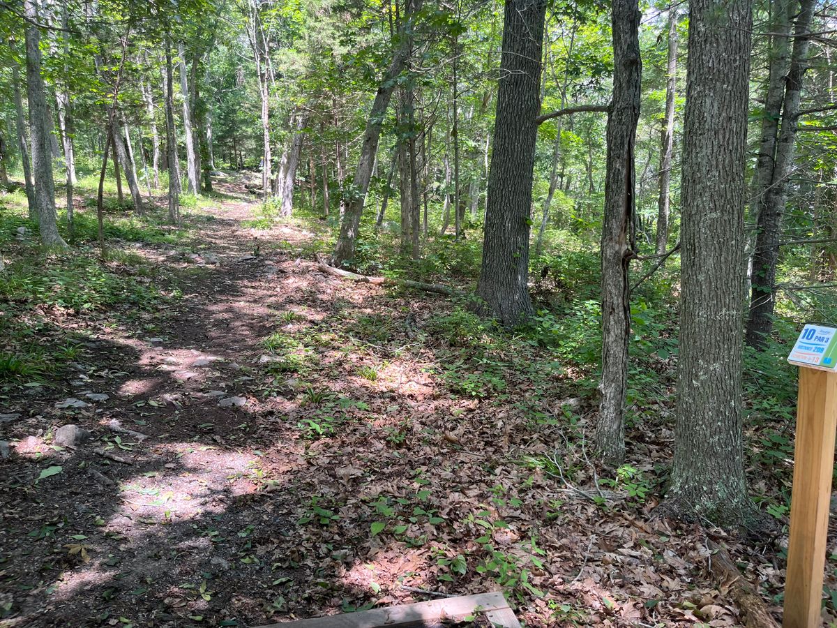 Hole 10
