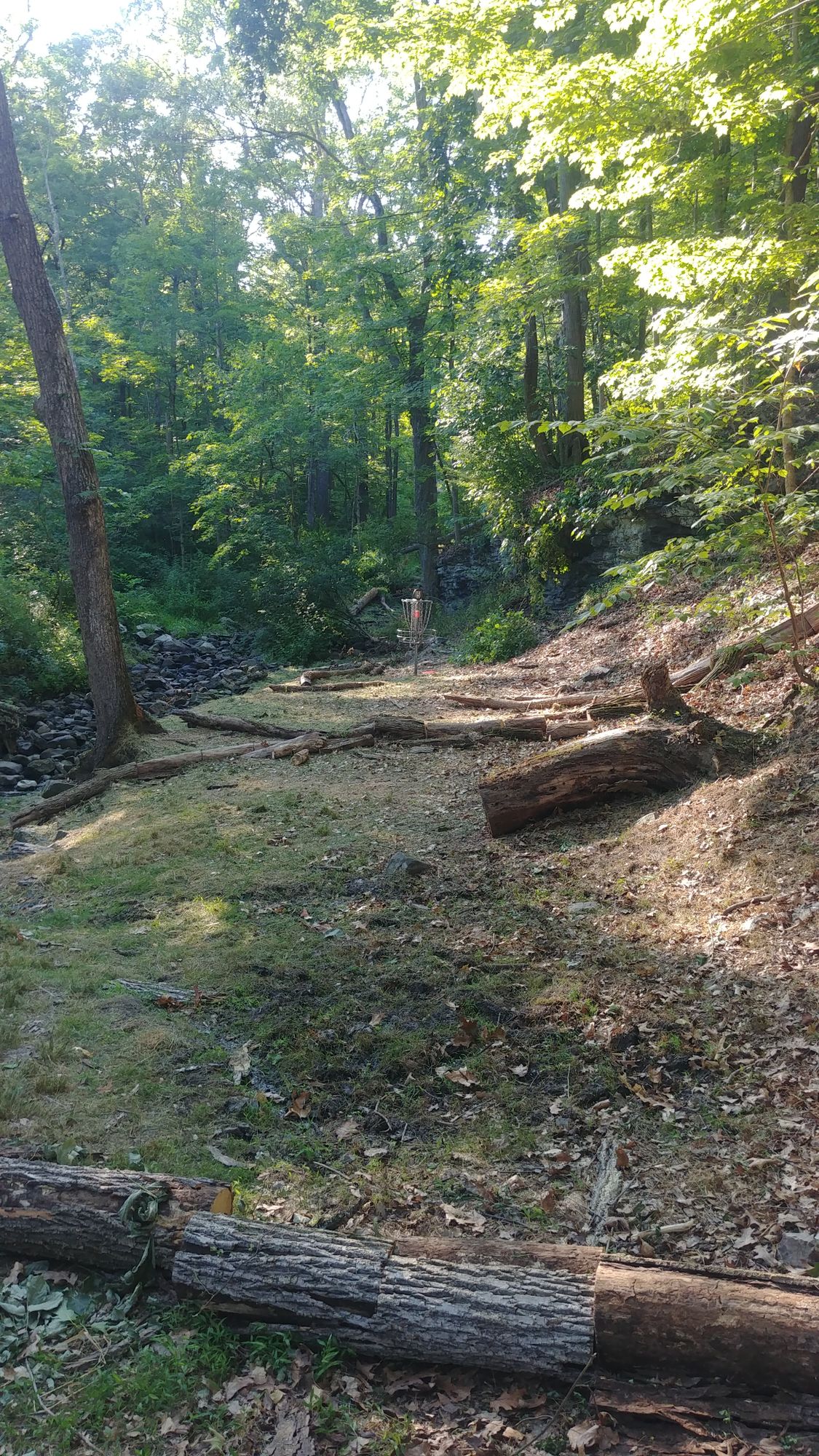 Hole 5