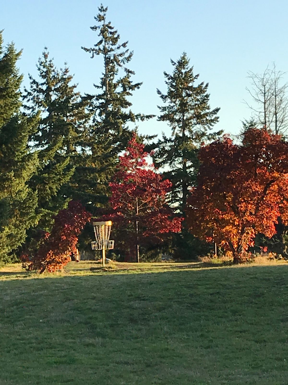 Hole 3 in its color