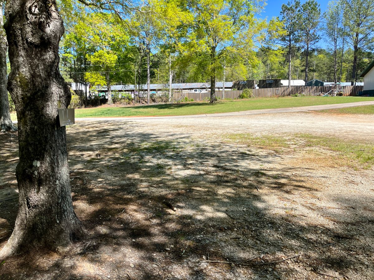 Hole 11 tee