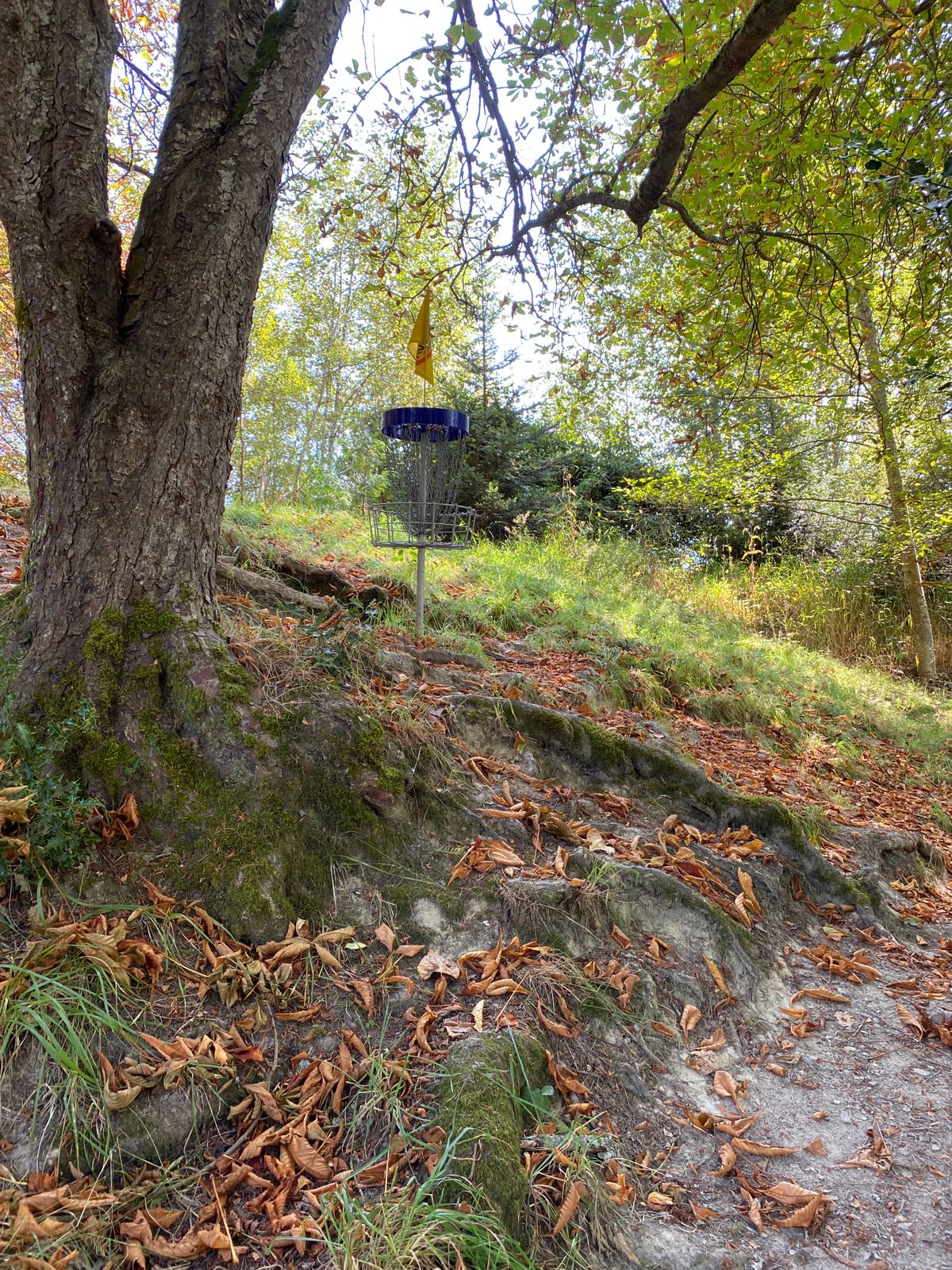 Hole 7 green.