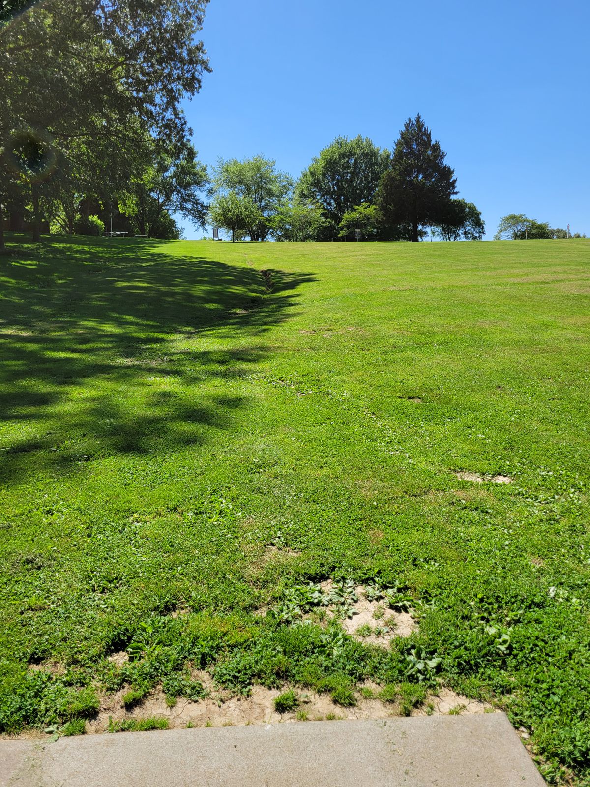 5 fairway, uphill, basket left of the tree, OB road deep.