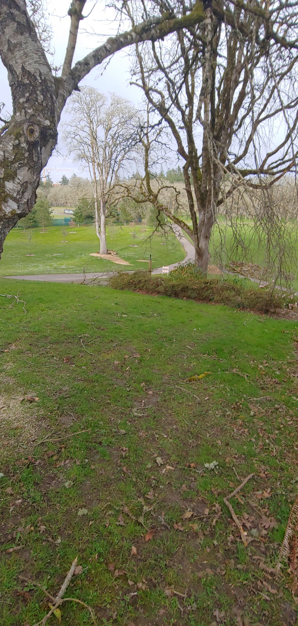 Tee 7