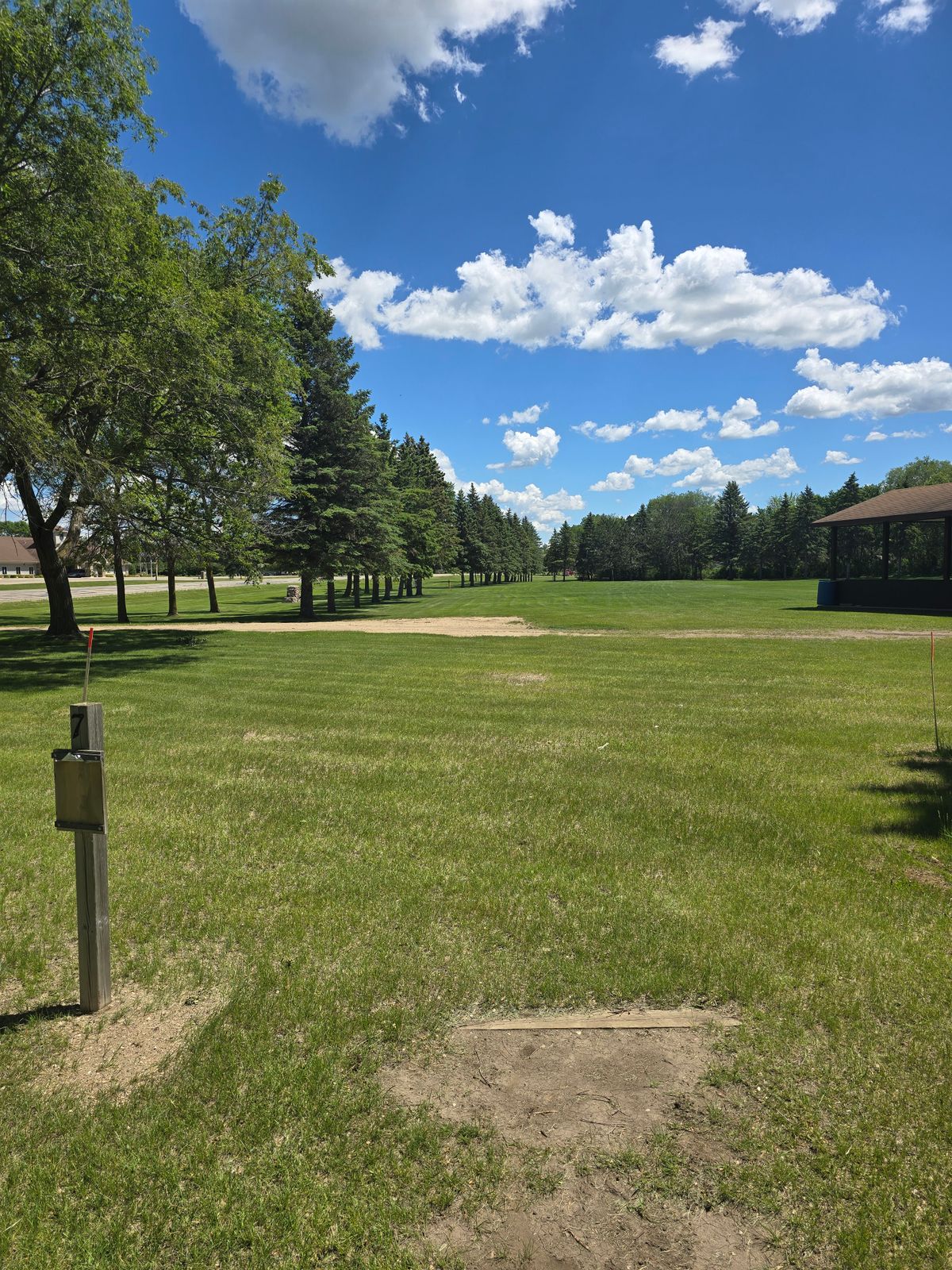 7 tee