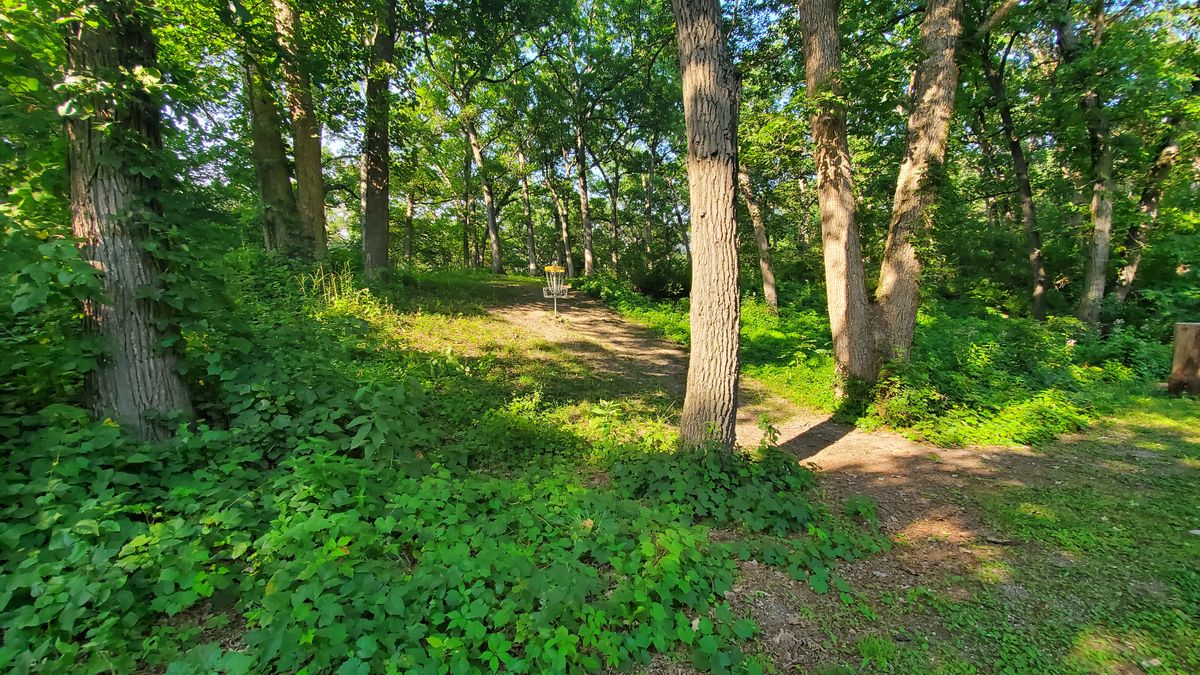 Hole 10 pin