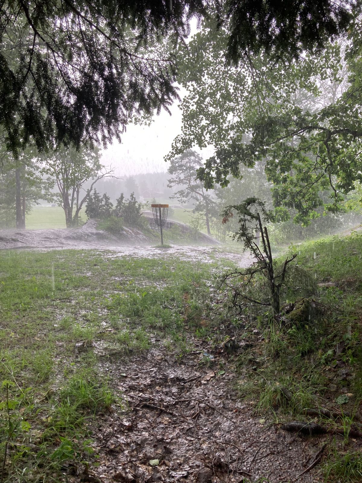 Regn. Rain. Lluvia. 雨.
Hål 9. Hole 9. Hoyo 9. 第9洞.