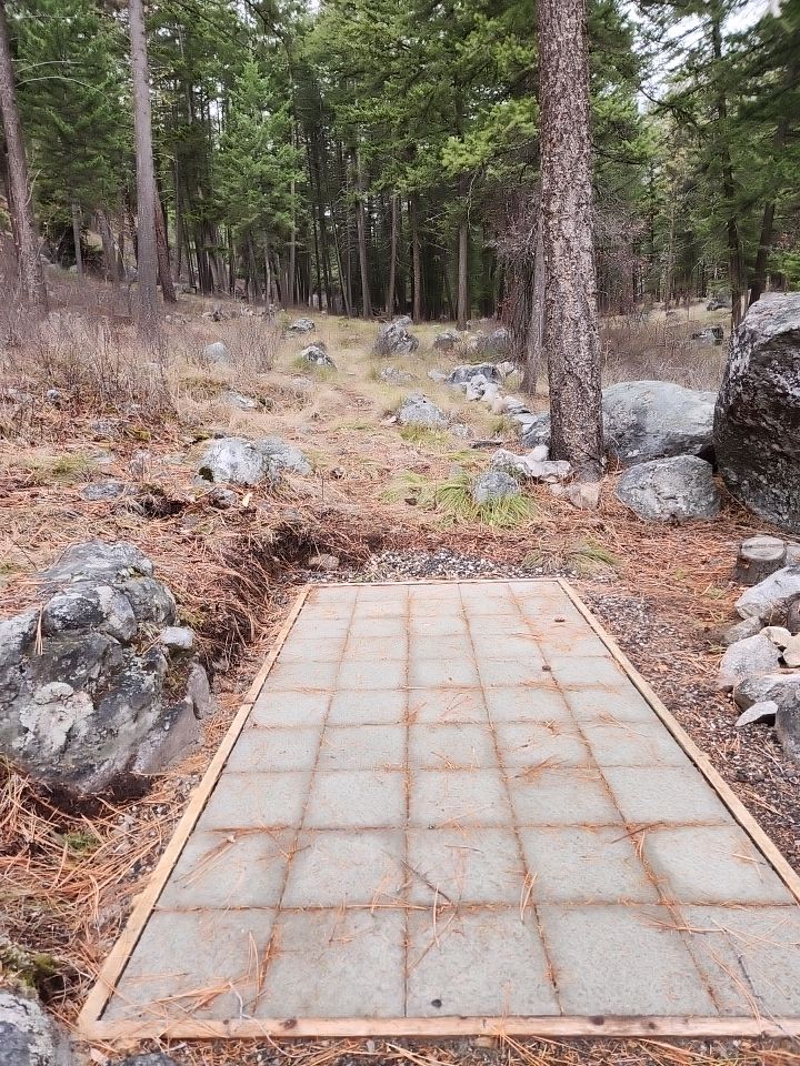 Hole 5 Tee