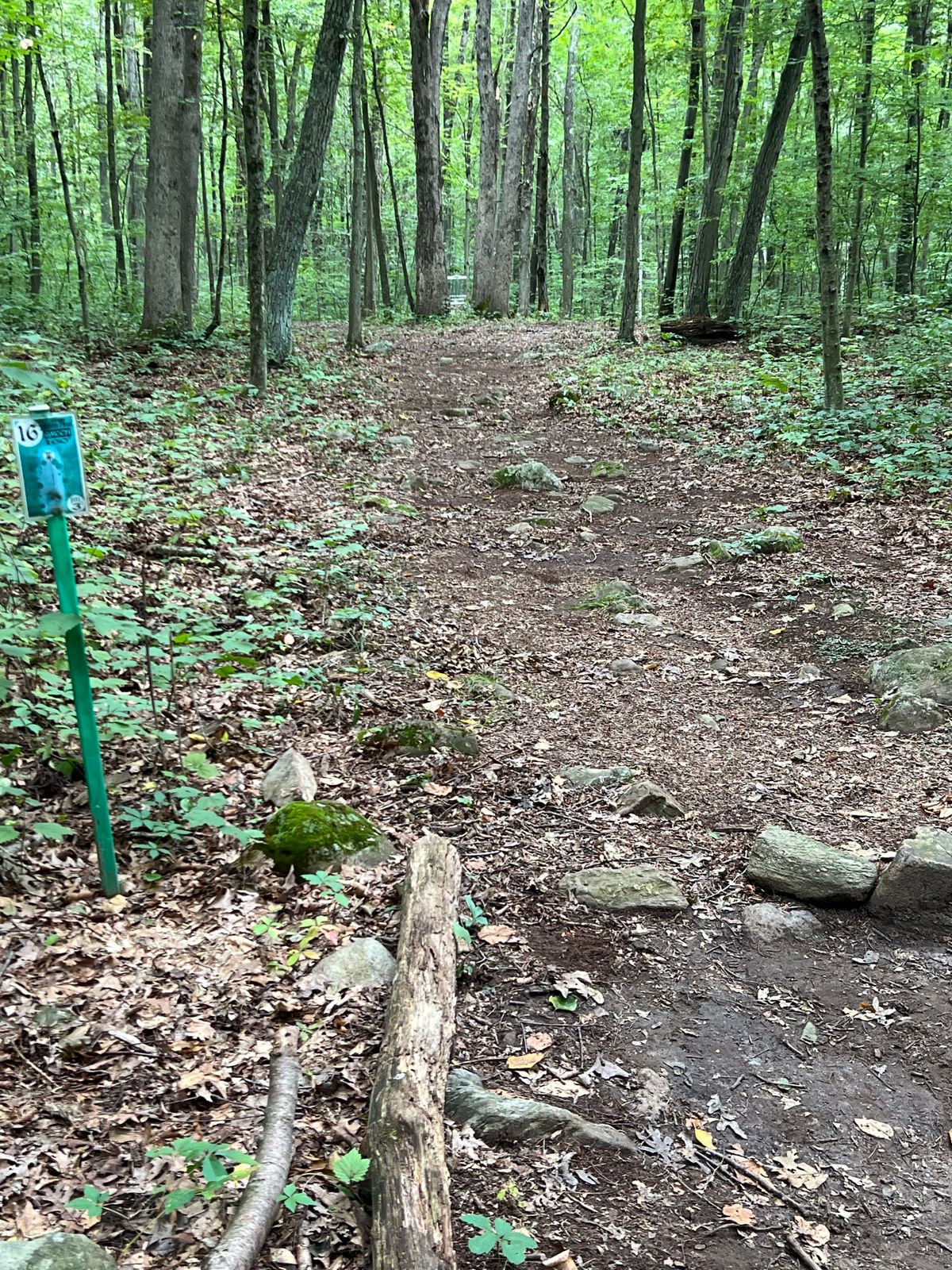 Hole #16