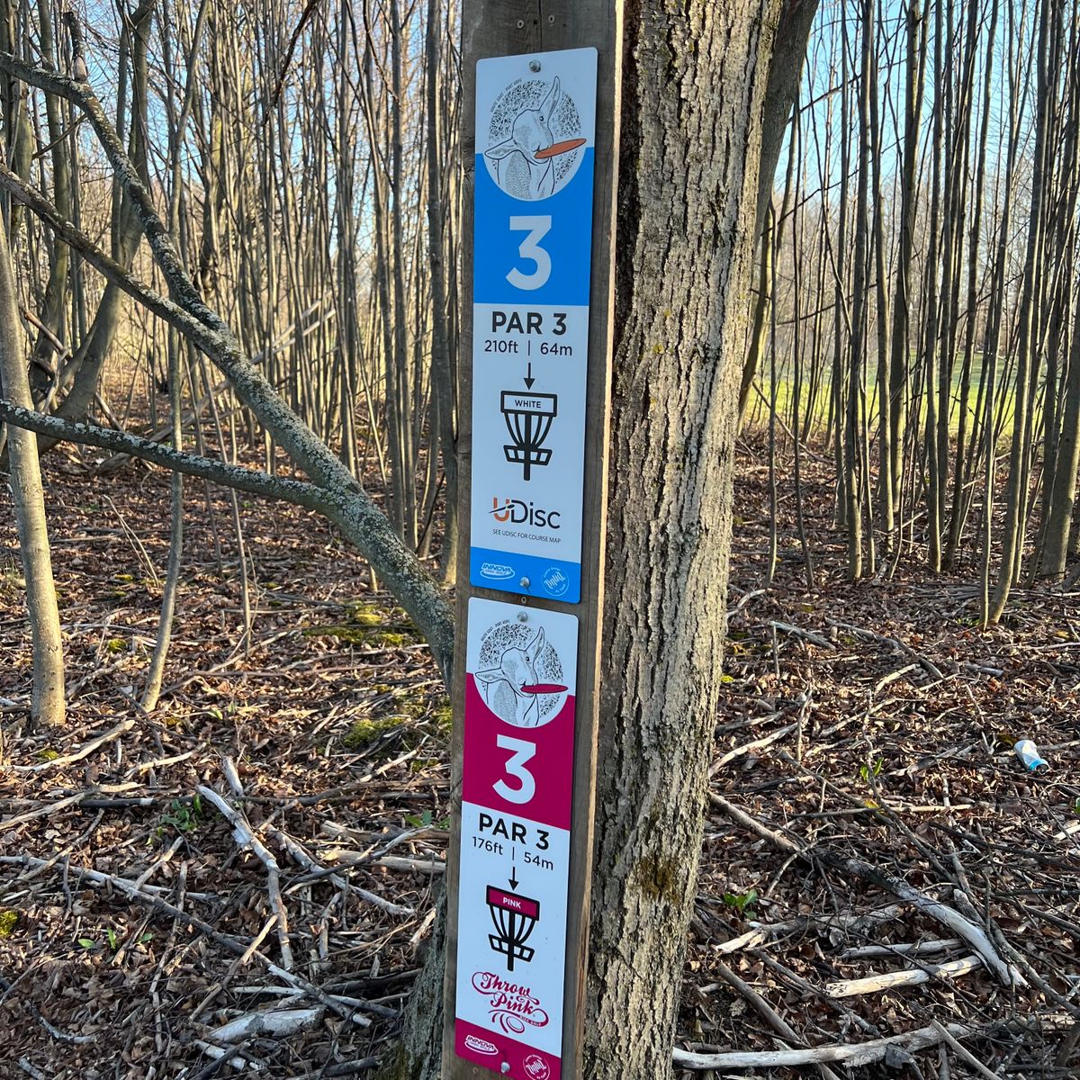 Hole 3, par 3, one tee, two baskets.
