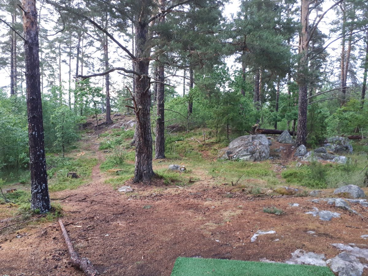Kuperad terräng med korg på krön.
