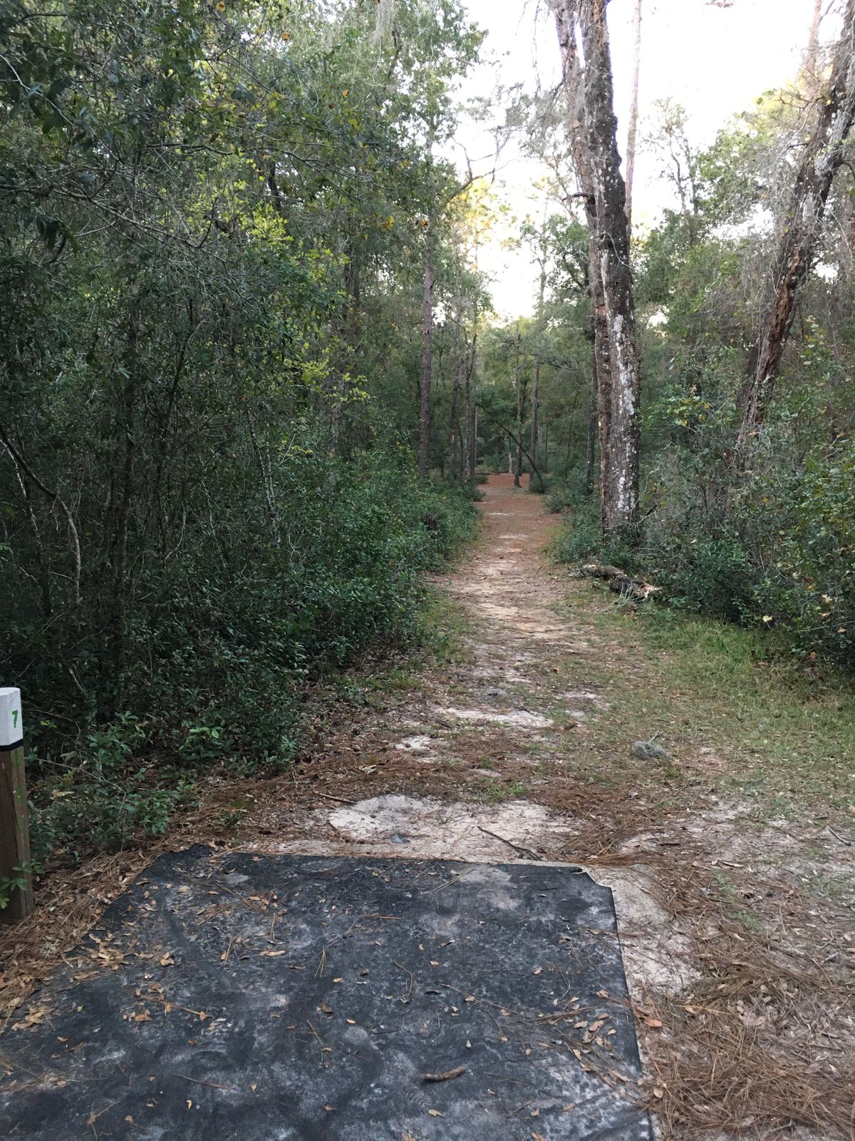 Hole 7    10/31/22