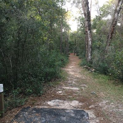 Hole 7    10/31/22