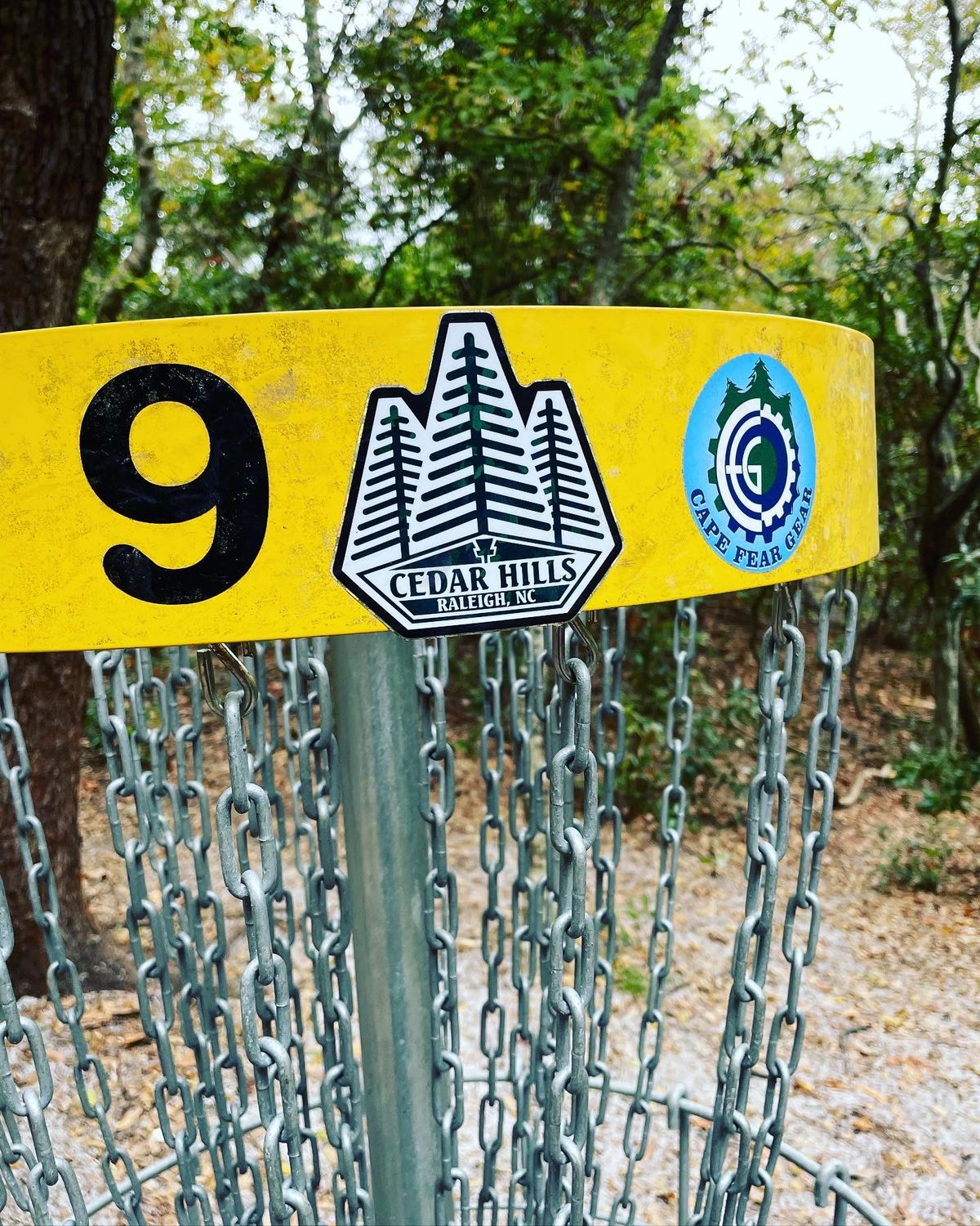 Basket 9