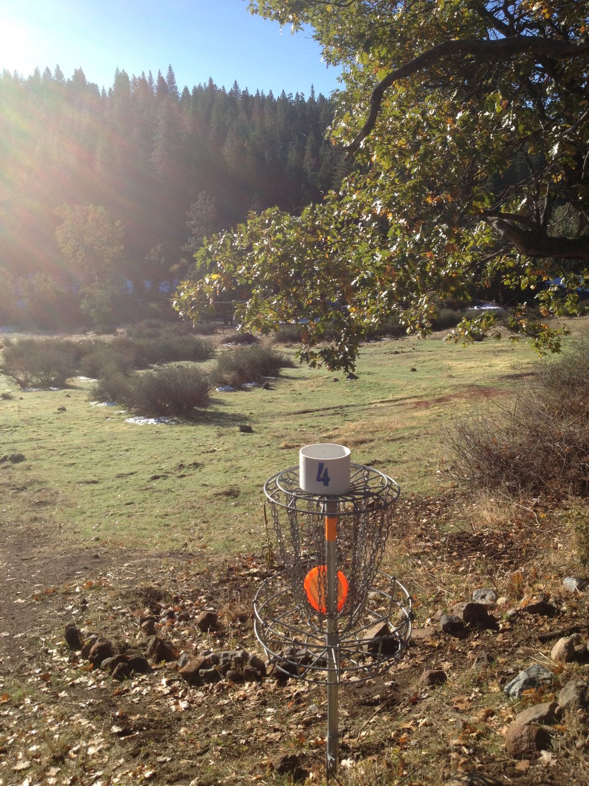 Basket #4