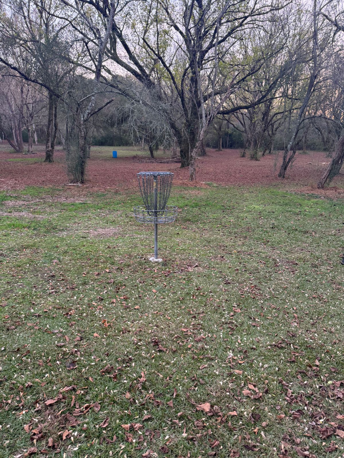 Hole 9 basket