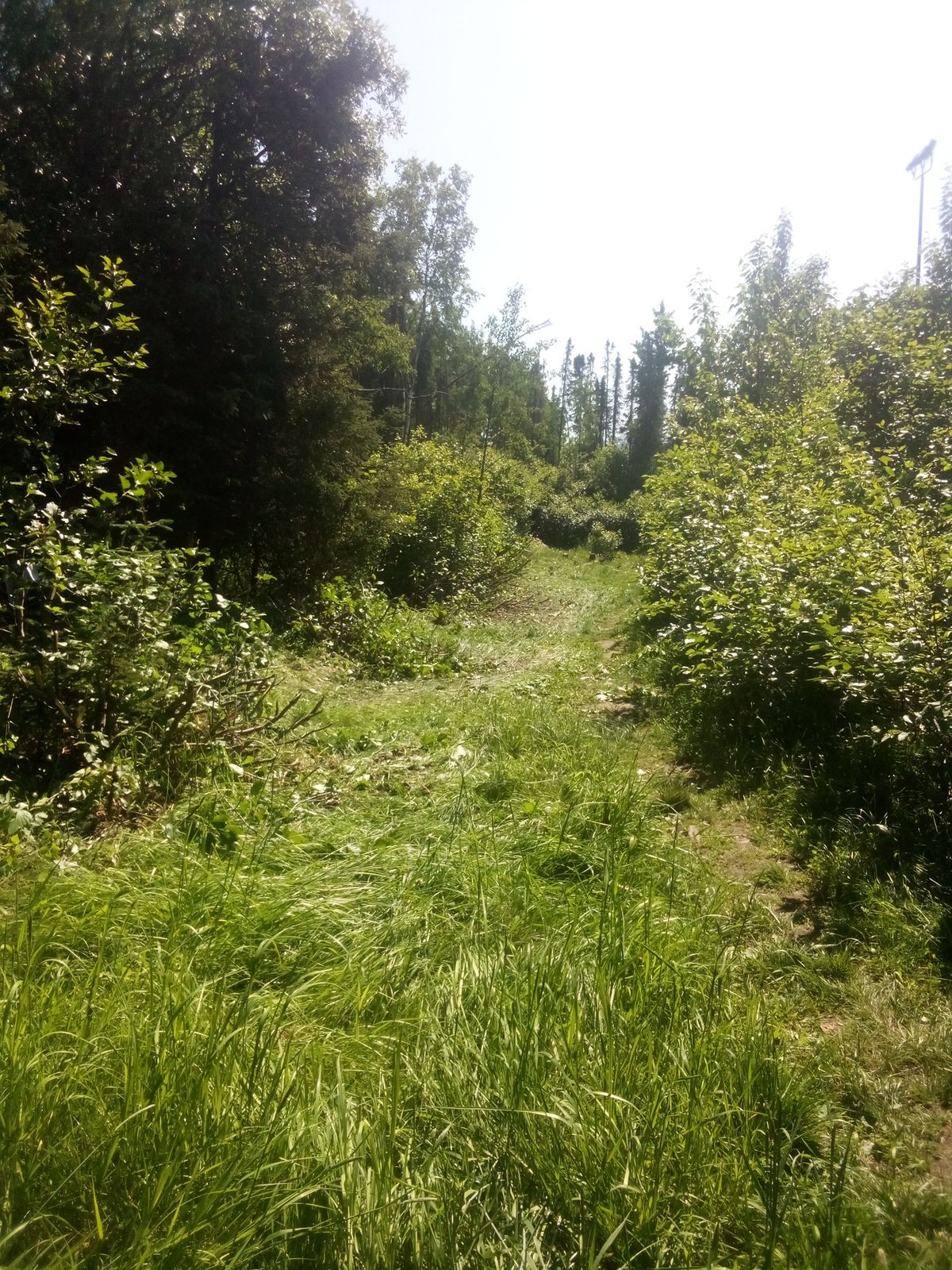 Hole 5 is open for business!