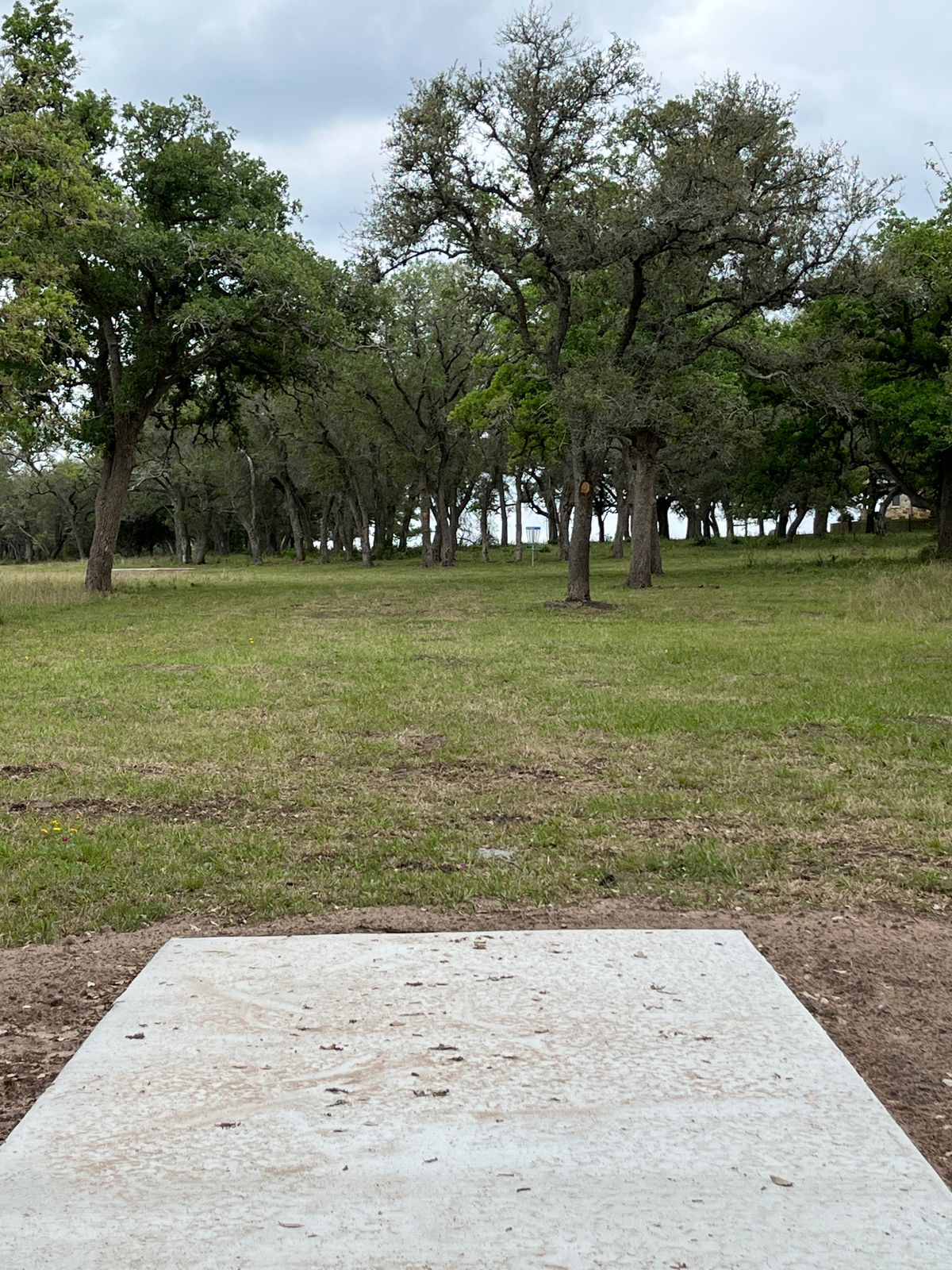 Hole 3, up hill, easy bird