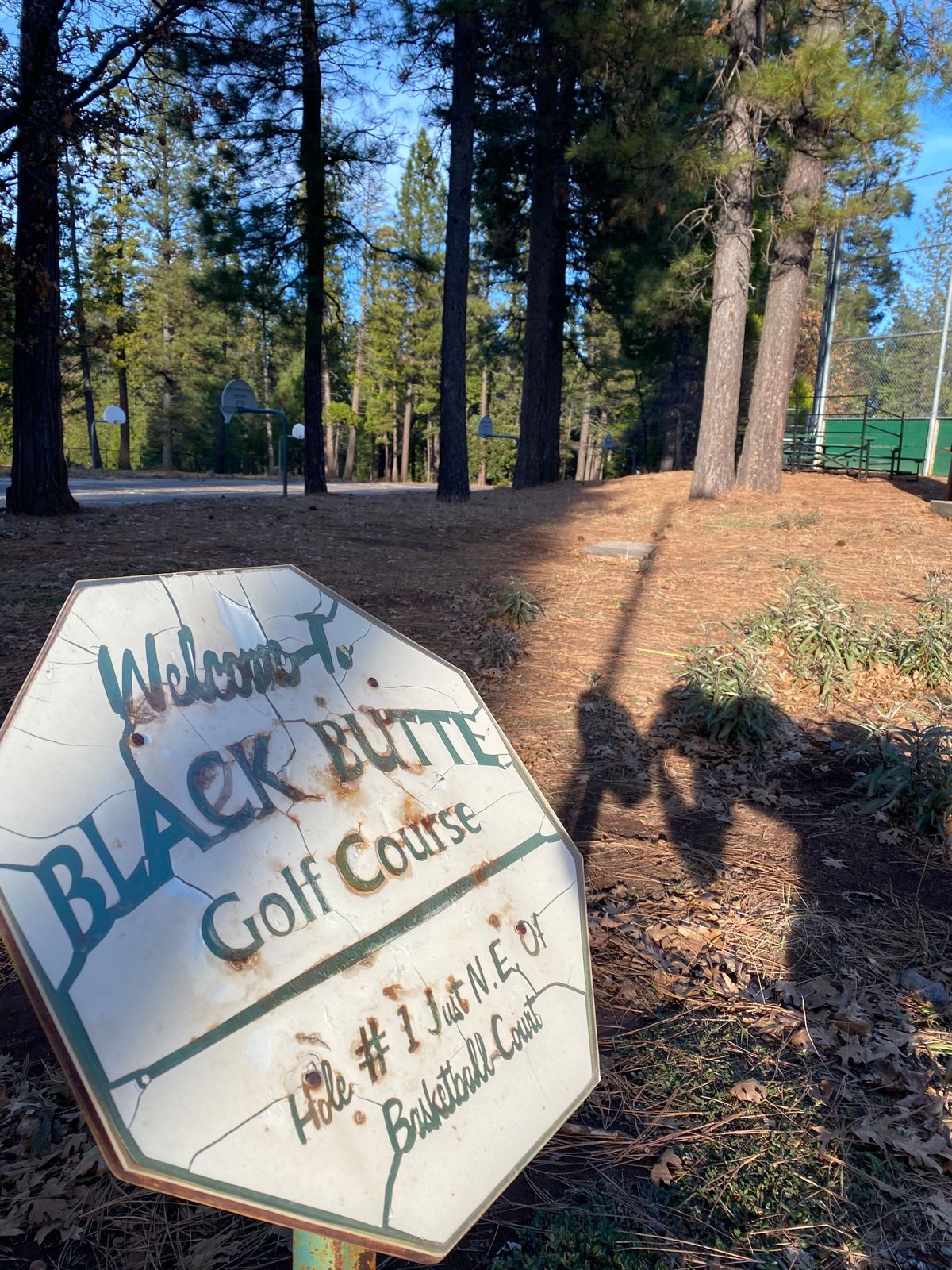 Entrance to the course past the basketball court in the woods