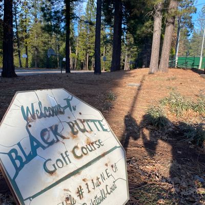 Entrance to the course past the basketball court in the woods