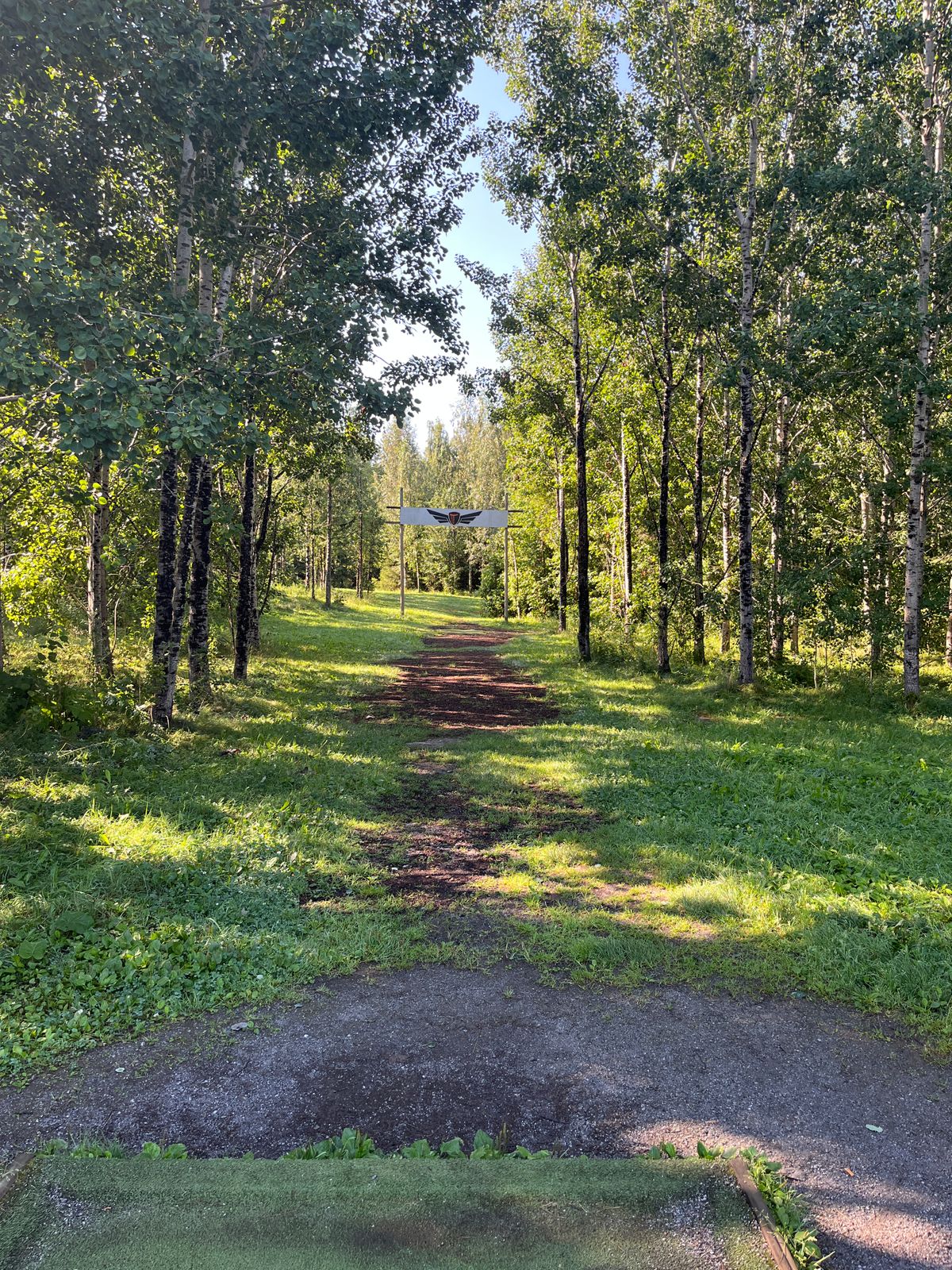 Hole 5, tee