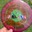 User avatar image